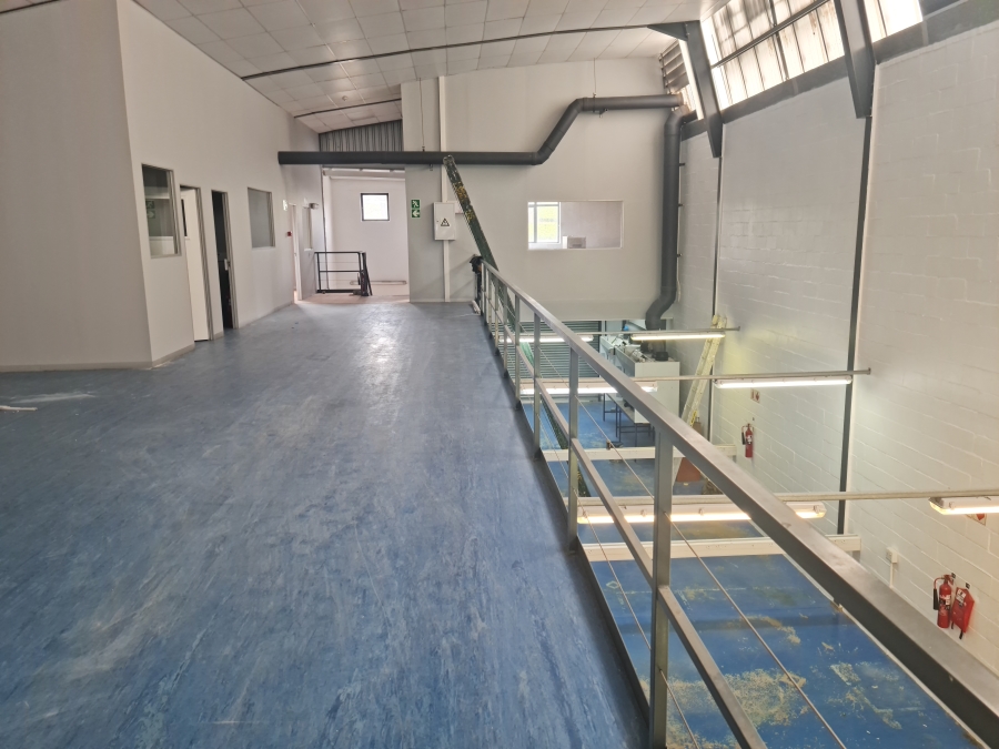 To Let commercial Property for Rent in Firgrove Western Cape
